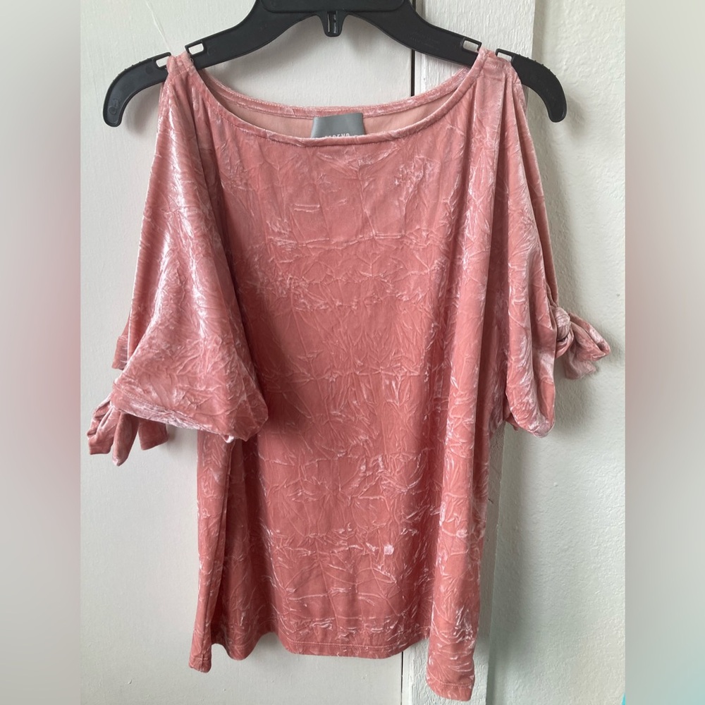 Maeve Blush Velvet Top